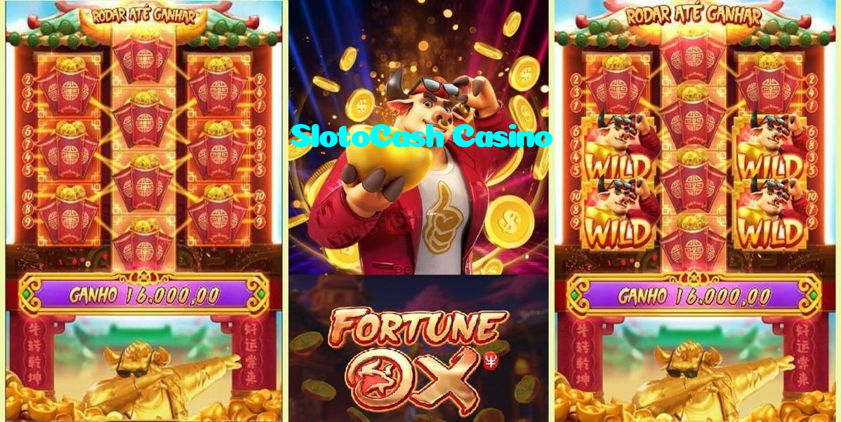 available types of SlotoCash Casino bet including pre-match live express and system bets